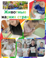 знания о животных жарких стран знания о животных жарких стран.